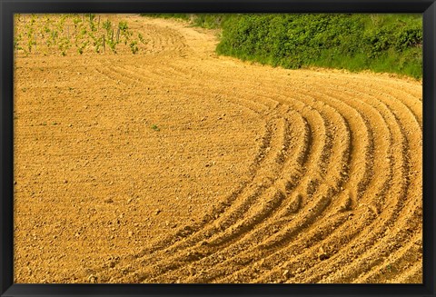 Framed Tilled Ground Ready for Planting, Brinas, La Rioja, Spain Print