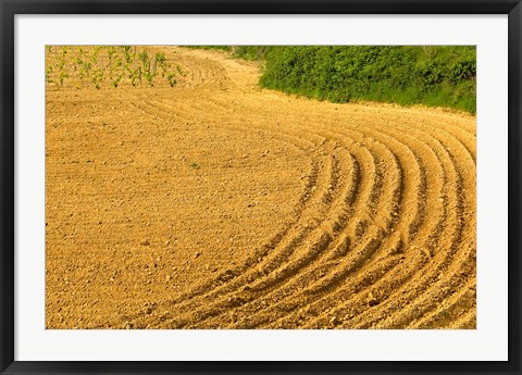 Framed Tilled Ground Ready for Planting, Brinas, La Rioja, Spain Print