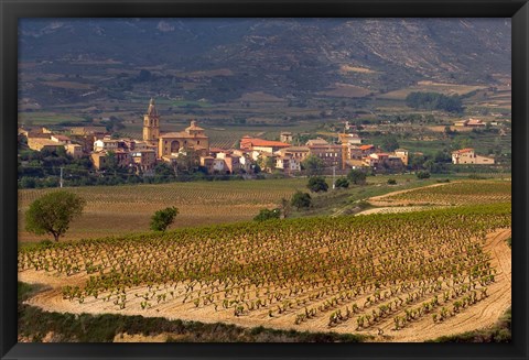 Framed Village of Brinas surrounded by Vineyards, La Rioja Region, Spain Print