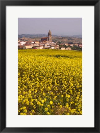 Framed Yellow mustard flowers, Elvillar Village, La Rioja, Spain Print