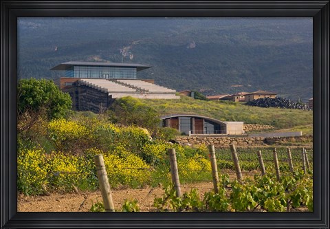 Framed Bodegas Baigorri in Rioja Alavesa, Spain Print