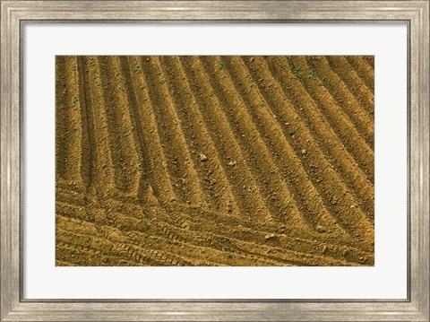 Framed Tilled Ground Ready for Planting, Brinas, La Rioja, Spain Print