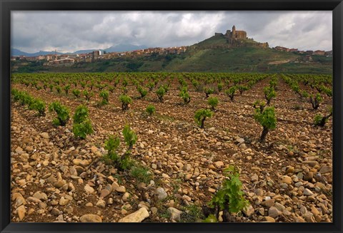 Framed Vineyard in stony soil with San Vicente de la Sonsierra Village, La Rioja, Spain Print