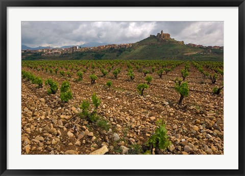 Framed Vineyard in stony soil with San Vicente de la Sonsierra Village, La Rioja, Spain Print