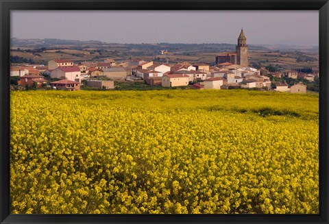 Framed Yellow mustard flowers, Elvillar Village, La Rioja, Spain Print