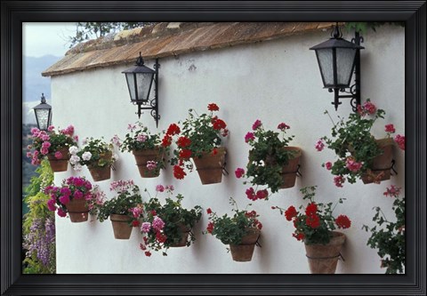 Framed Geraniums along White Wall of Palacio de Mondragon, Ronda, Spain Print