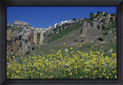 Framed Wildflowers in El Tajo Gorge and Punte Nuevo, Ronda, Spain Print