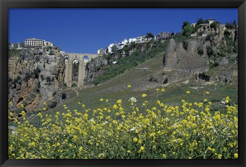 Framed Wildflowers in El Tajo Gorge and Punte Nuevo, Ronda, Spain Print