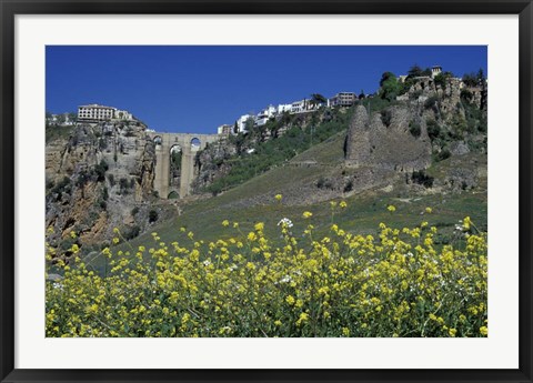 Framed Wildflowers in El Tajo Gorge and Punte Nuevo, Ronda, Spain Print