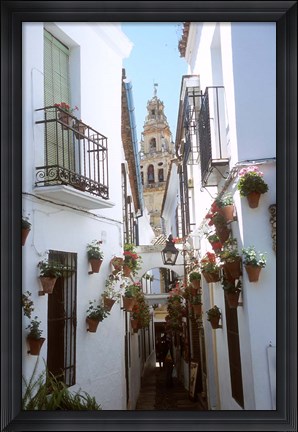 Framed Calleja de las Flores (Flower Alley), Spain Print