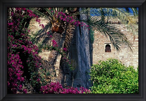 Framed Plams, Flowers and Ramparts of Alcazaba, Malaga, Spain Print