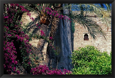 Framed Plams, Flowers and Ramparts of Alcazaba, Malaga, Spain Print