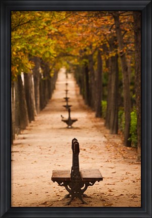 Framed Parque del Buen Retiro, Madrid, Spain Print