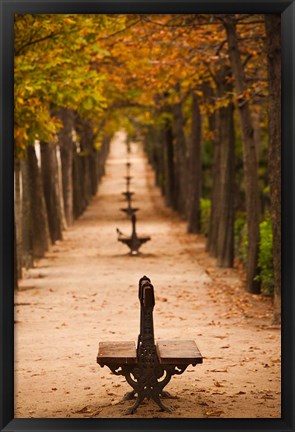 Framed Parque del Buen Retiro, Madrid, Spain Print