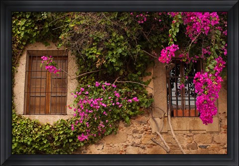 Framed Flower-covered Buildings, Old Town, Ciudad Monumental, Caceres, Spain Print