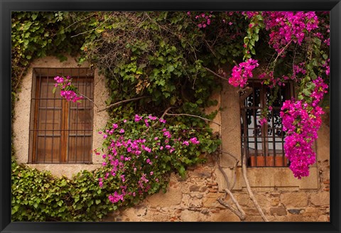 Framed Flower-covered Buildings, Old Town, Ciudad Monumental, Caceres, Spain Print