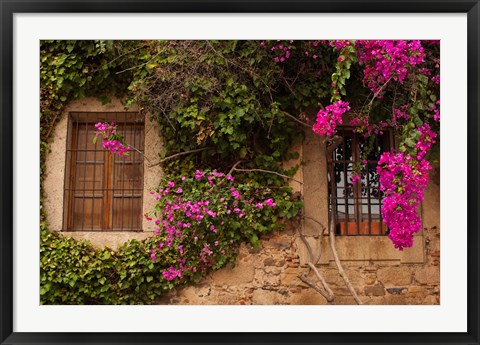 Framed Flower-covered Buildings, Old Town, Ciudad Monumental, Caceres, Spain Print