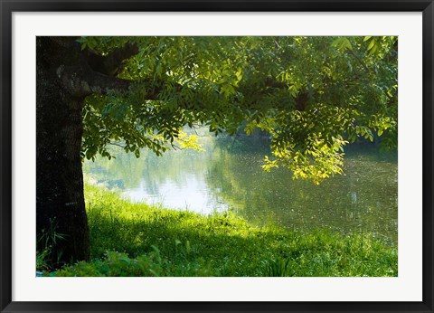 Framed Ason river Ramales de la Victoria Cantabria Spain Print