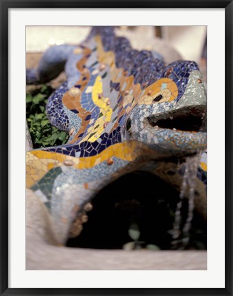 Framed Sights of Parc Guell, Barcelona, Spain Print