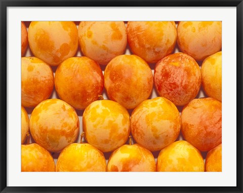 Framed Produce at La Boqueria Market, Barcelona, Spain Print