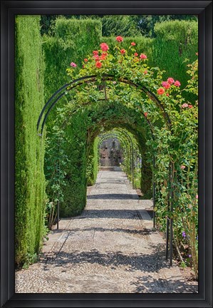 Framed Archway of trees in the gardens of the Alhambra, Granada, Spain Print