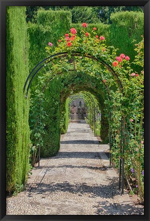 Framed Archway of trees in the gardens of the Alhambra, Granada, Spain Print