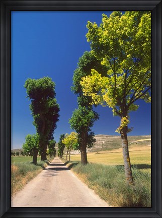 Framed Pilgrimage Road, El Camino de Santiago de Compostela, Castile, Spain Print