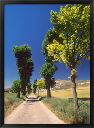 Framed Pilgrimage Road, El Camino de Santiago de Compostela, Castile, Spain Print