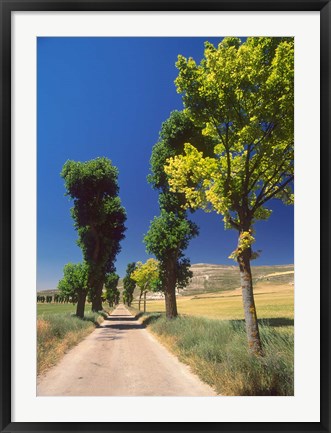 Framed Pilgrimage Road, El Camino de Santiago de Compostela, Castile, Spain Print