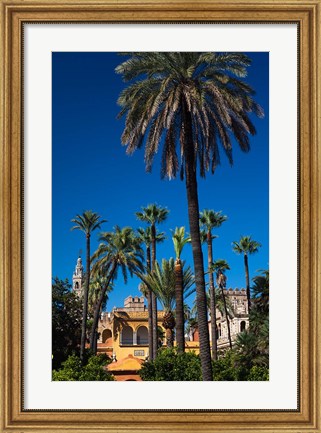 Framed Alcazar Gardens, Seville, Spain Print