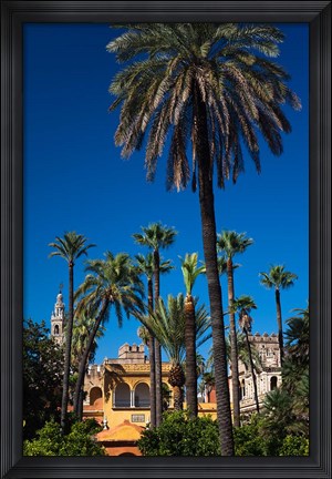 Framed Alcazar Gardens, Seville, Spain Print