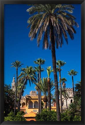 Framed Alcazar Gardens, Seville, Spain Print