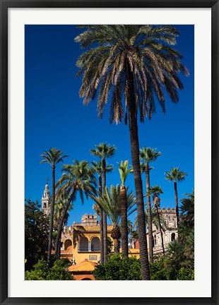 Framed Alcazar Gardens, Seville, Spain Print