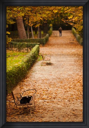 Framed Parque del Buen Retiro, Madrid, Spain Print