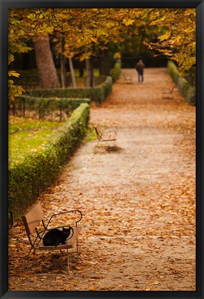 Framed Parque del Buen Retiro, Madrid, Spain Print