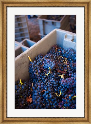Framed Bodega Marques de Riscal Winery, Elciego, Basque Country, Spain Print