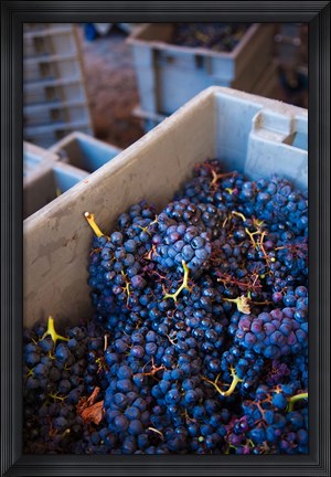 Framed Bodega Marques de Riscal Winery, Elciego, Basque Country, Spain Print