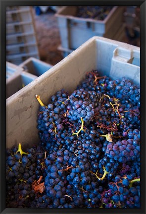 Framed Bodega Marques de Riscal Winery, Elciego, Basque Country, Spain Print