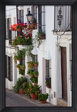Framed Spain, Andalucia Region, Cadiz, Grazalema Potted plants by a home Print