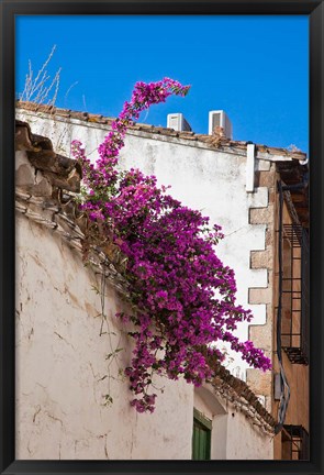 Framed Spain, Andalusia, Banos de la Encina Bougainvillea Growing on a Roof Print