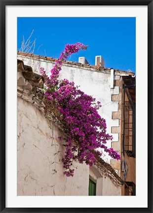 Framed Spain, Andalusia, Banos de la Encina Bougainvillea Growing on a Roof Print