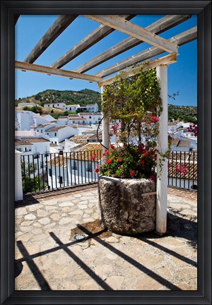 Framed Spain, Andalusia, Cadiz Province Potted plants Overlooking Rooftops Print