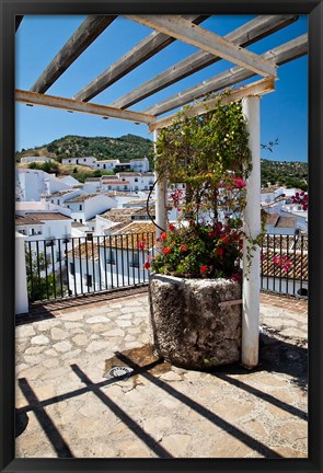 Framed Spain, Andalusia, Cadiz Province Potted plants Overlooking Rooftops Print