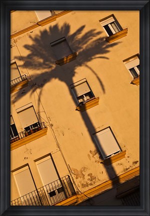 Framed Spain, Cadiz, Campo del Sur, Palm Shadow Print