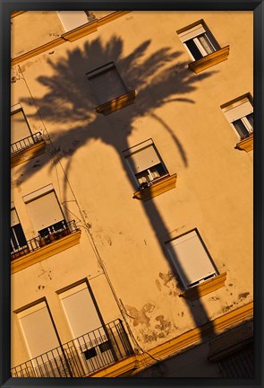 Framed Spain, Cadiz, Campo del Sur, Palm Shadow Print