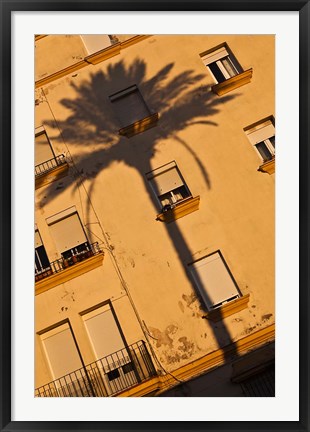 Framed Spain, Cadiz, Campo del Sur, Palm Shadow Print