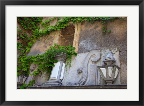 Framed Spain, Granada Ivy growing on the walls of the Alhambra Print