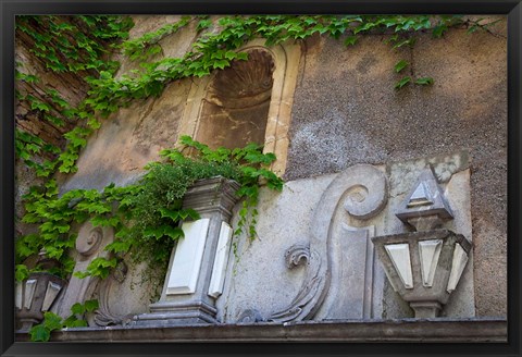 Framed Spain, Granada Ivy growing on the walls of the Alhambra Print