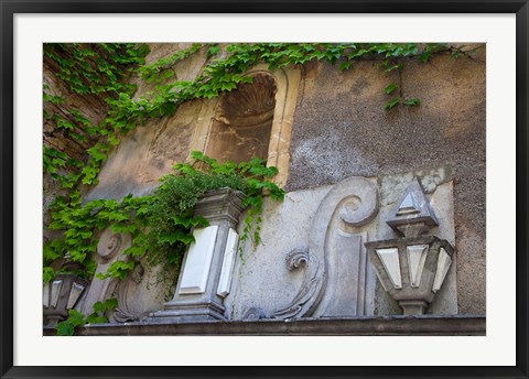 Framed Spain, Granada Ivy growing on the walls of the Alhambra Print