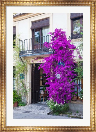 Framed Spain, Granada The entrance of Hotel America Print